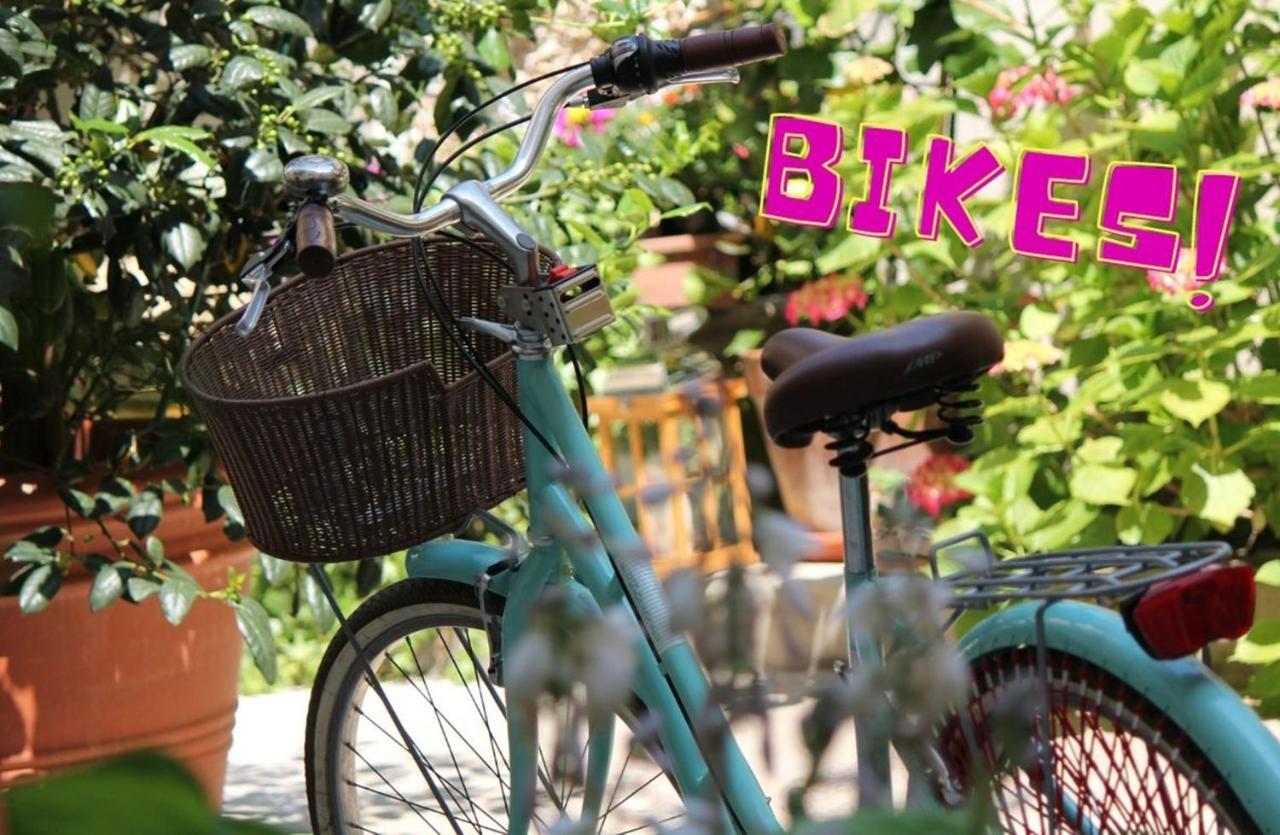 Il Cortile Di Elisa & Our Flats Bed & Breakfast Лука Екстериор снимка